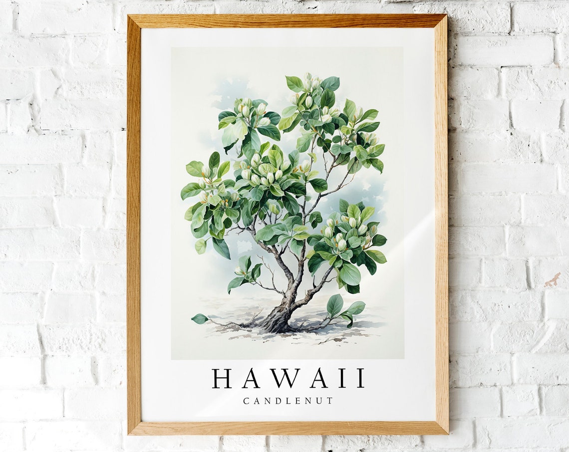 Hawaii Candlenut State Tree Botanical Watercolor Illustration Poster