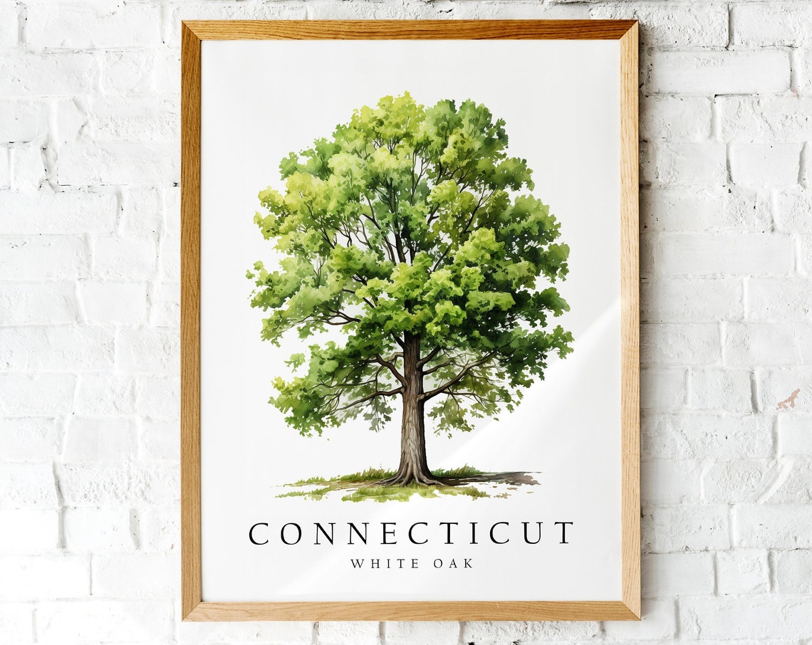 Majestic Connecticut White Oak State Tree Botanical Watercolor Poster