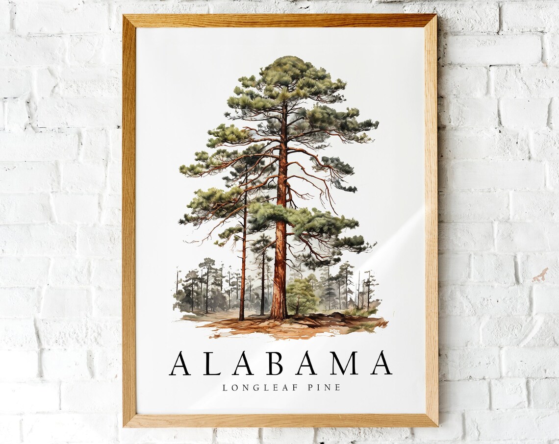 Longleaf Pine, Alabama State Tree Art Print
