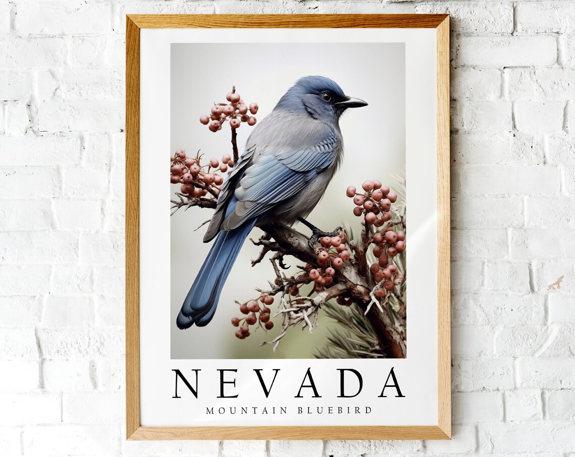 Mountain Bluebird Nevada State Bird Watercolor Bird Portrait Poster