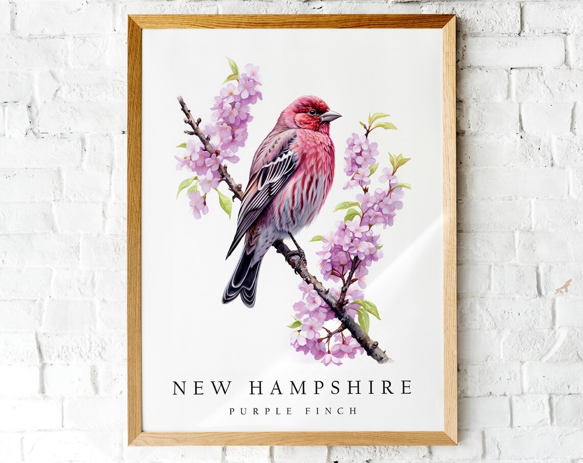 New Hampshire Purple Finch Cherry Blossom Branch Bird Art Poster