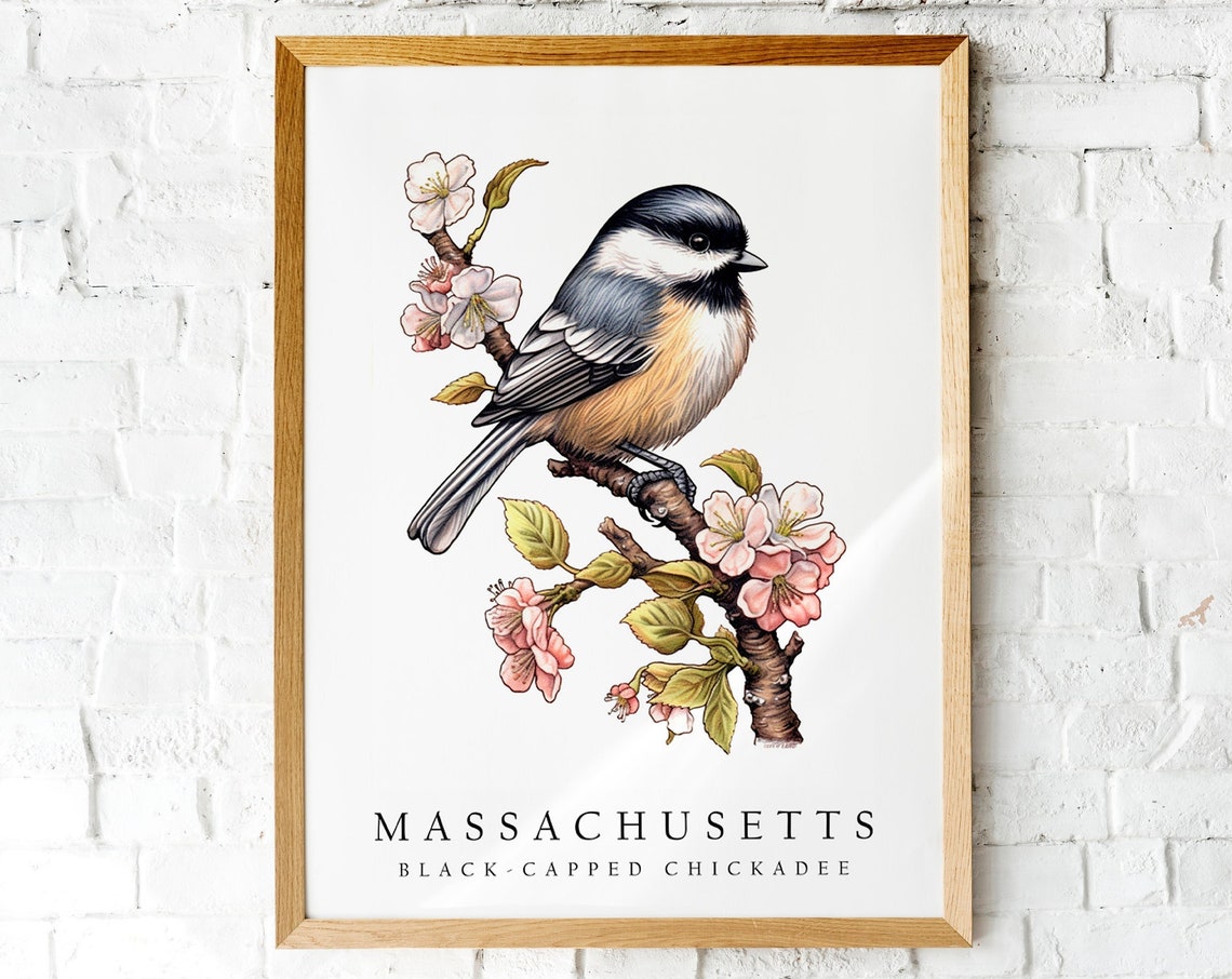 Black-Capped Chickadee Massachusetts State Bird Watercolor Poster