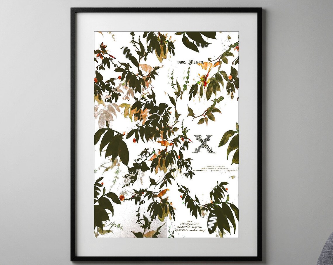 Vintage Botanical Spring Decor Floral Art Print