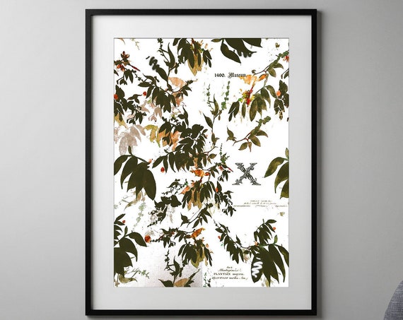 Vintage Botanical Spring Decor Floral Art Print
