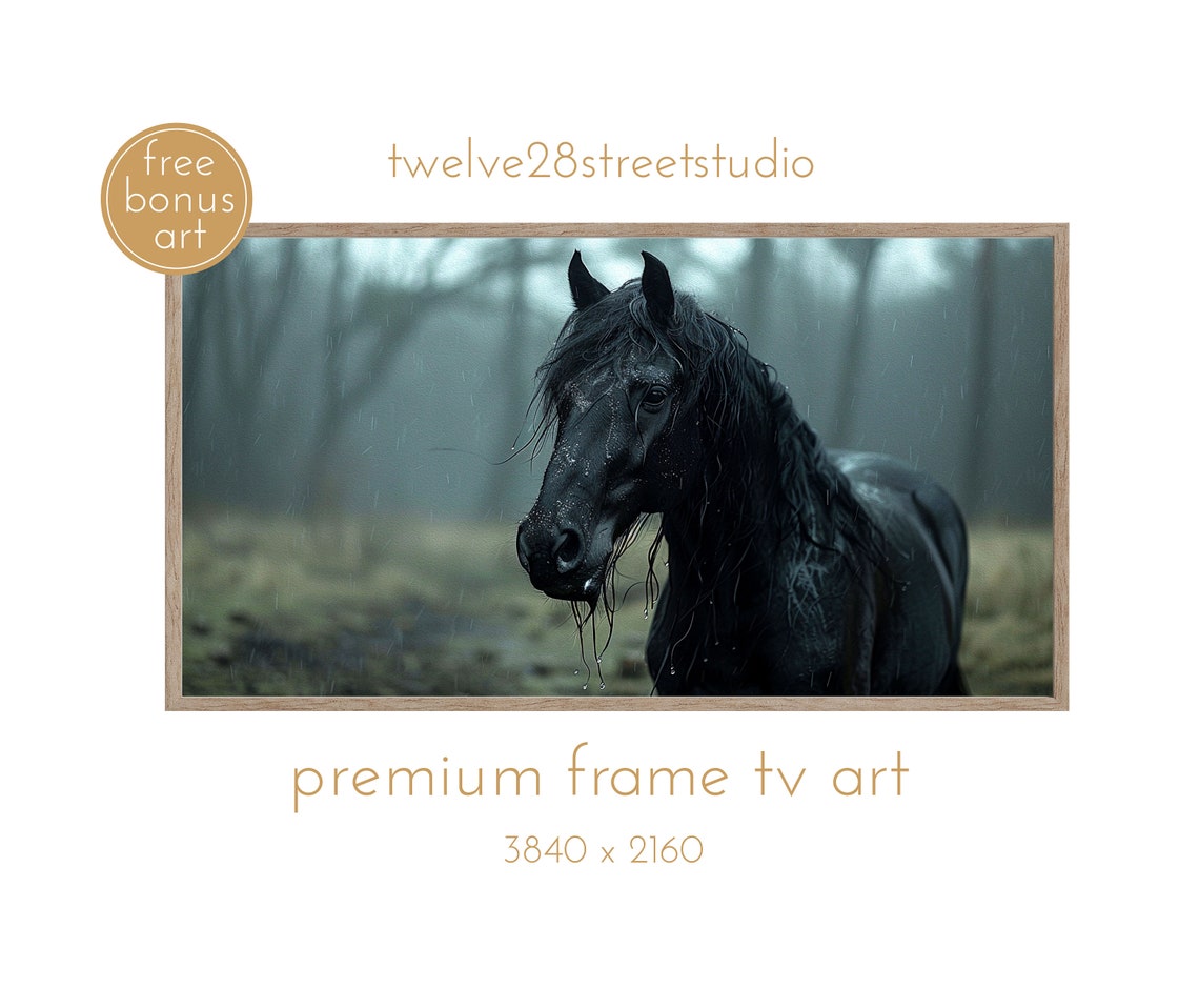 Moody Tv Art Vintage Dark Tv Art Dark Academia Tv Art Tv Art Tv Art Horses Dark Tv Art Frame Tv Art Horses