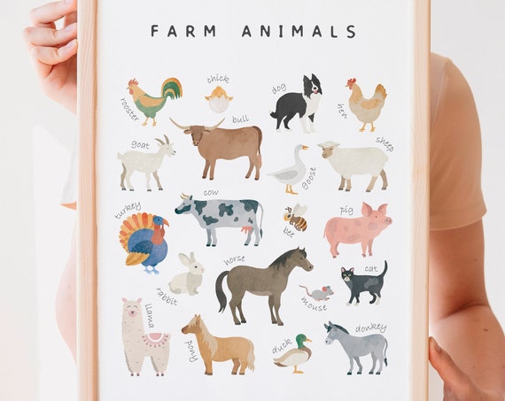 Farm Animals Educational Poster, Nursery Playroom Decor