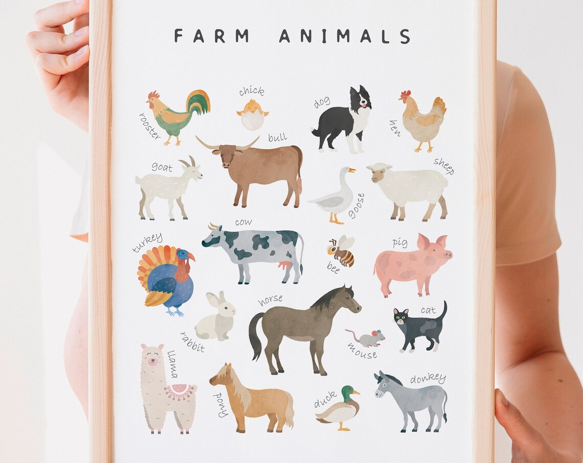 Farm Animals Educational Poster, Nursery Playroom Decor