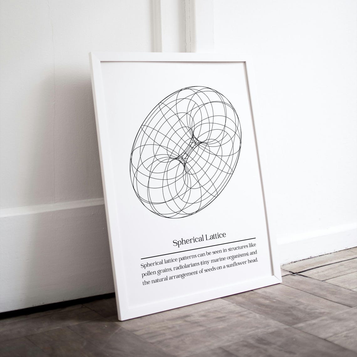 Spherical Lattice Wireframe Parametric Geometric Abstract Art Poster - Image 2