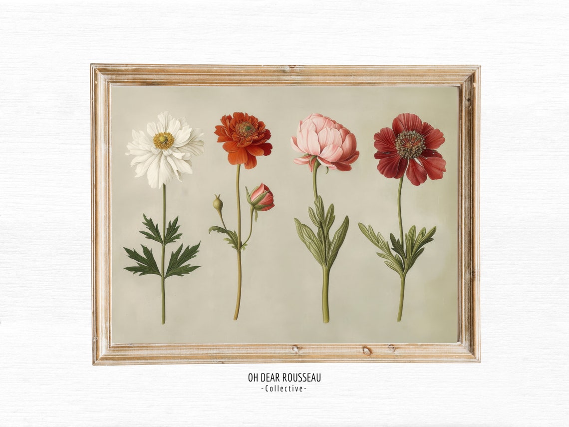 Vintage Botanical Wildflower Study with Anemone and Peony Print