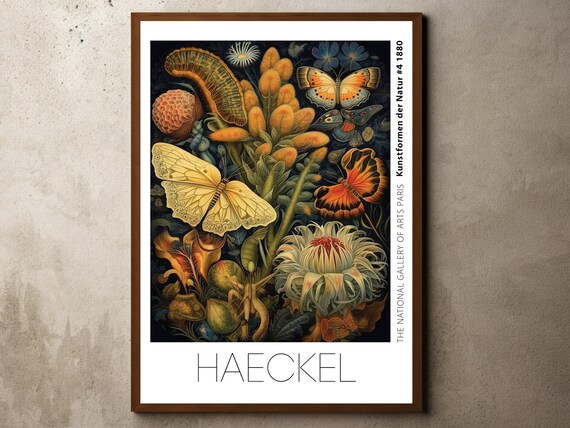 Ernst Haeckel Inspired Print Poster Botanical Wall Art Floral Illustrations Jungle Orchid