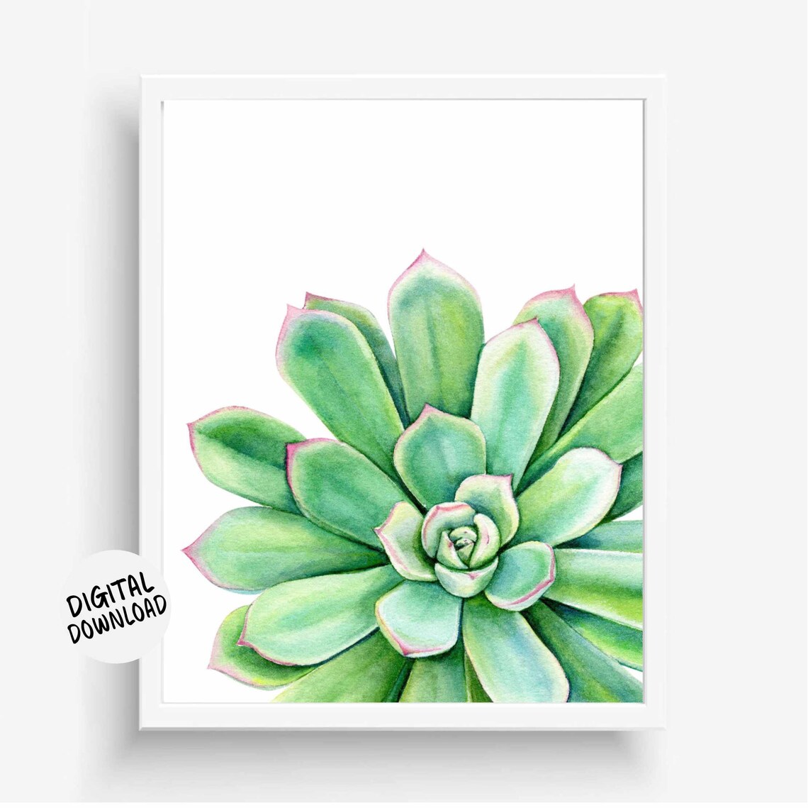 Watercolor Green Echeveria Succulent Botanical Office Poster