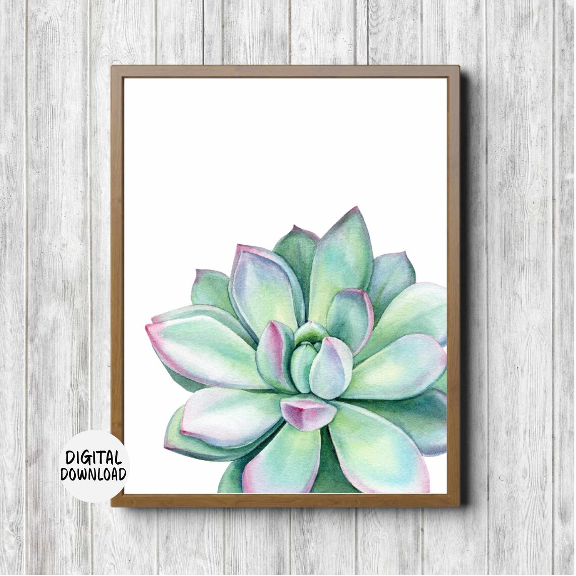 Green Succulent Pink Tipped Leaves Watercolor Botanical Art Poster