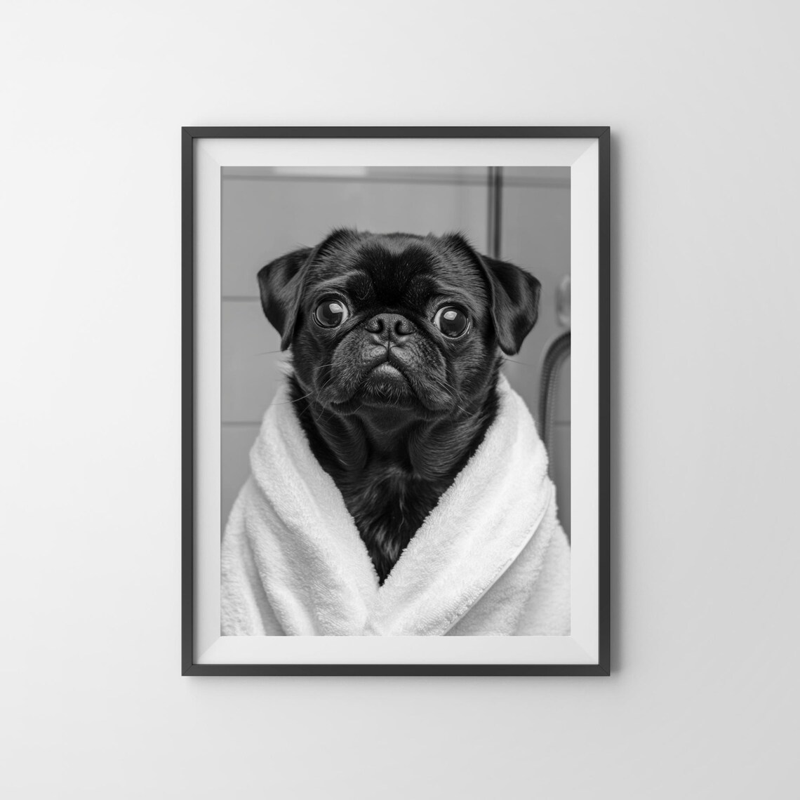 Black Pug in White Towel Black and White Funny Bathroom Poster - Image 3