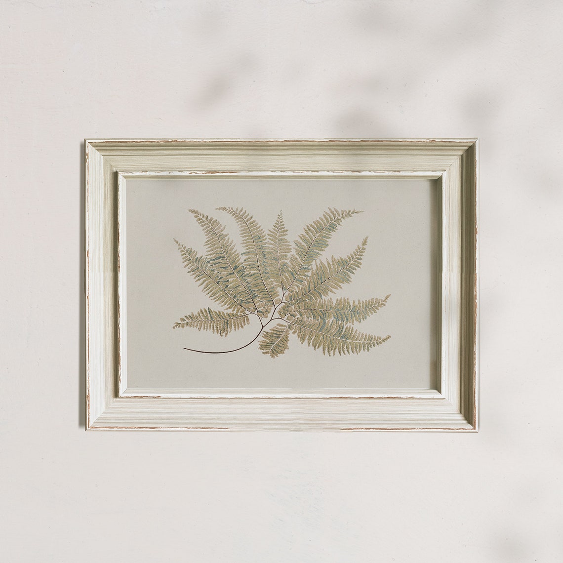 Antique Fern Botanical Study Vintage Green Wall Decor Poster - Image 4