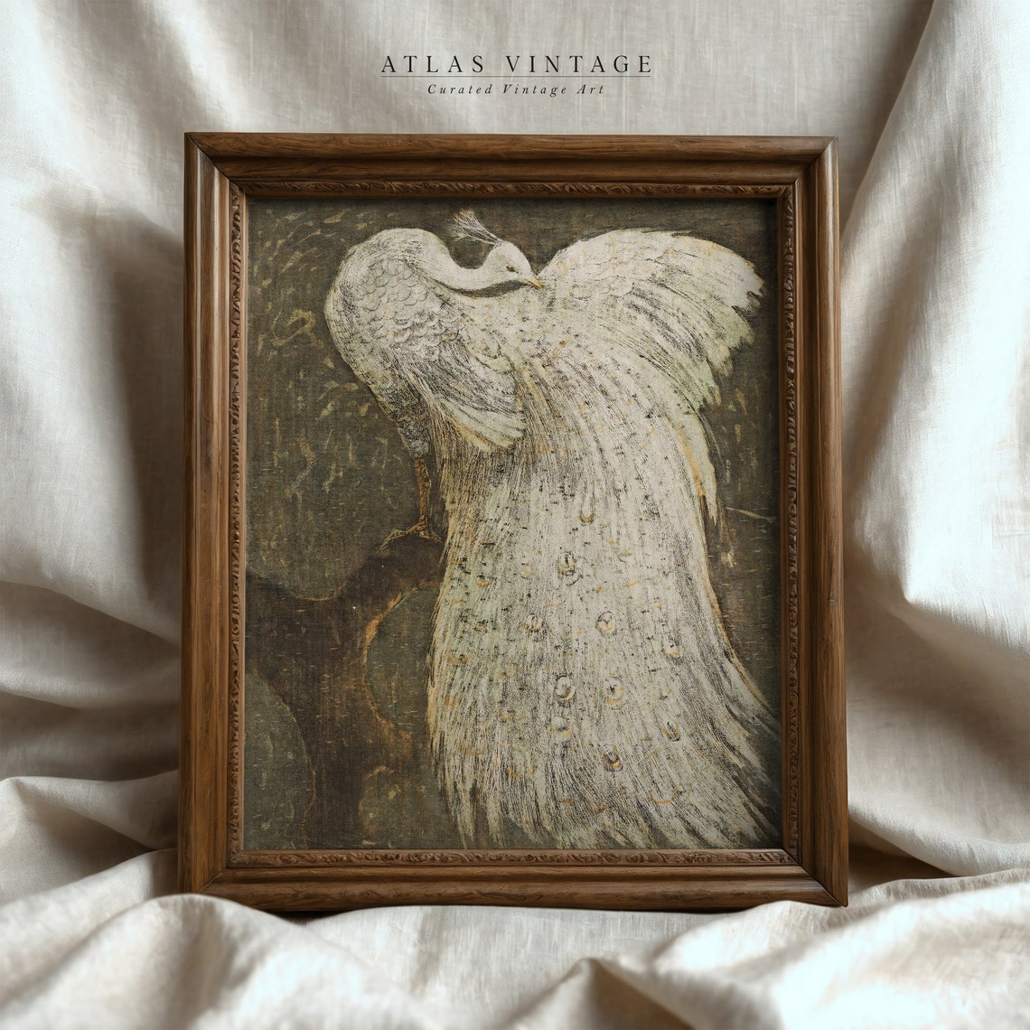 White Peacock Vintage Bird Painting Antique Dark Academia Poster