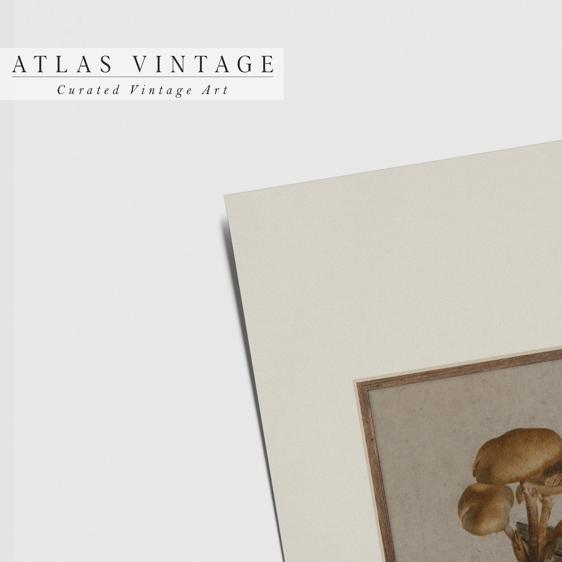 Antique Mushroom Cluster Botanical Vintage Mycology Art Poster - Image 5