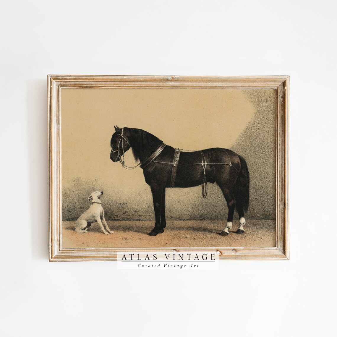 Antique Black Horse With Loyal White Dog Sepia Equestrian Poster