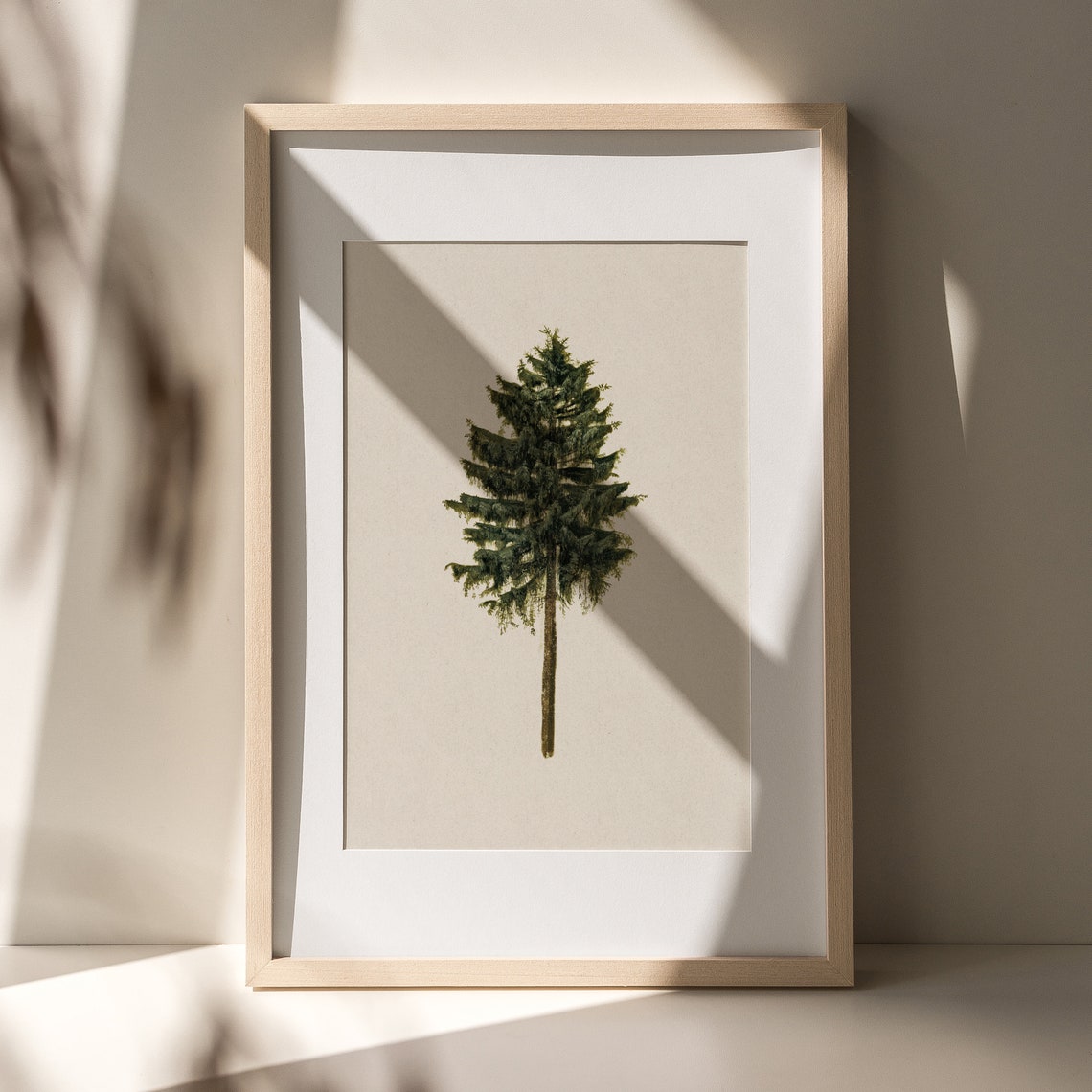 Single Pine Tree Botanical Study Cream Background Art Poster - Image 4