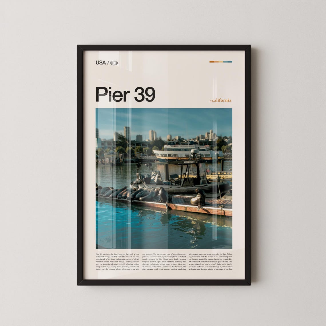 Pier 39 San Francisco Sea Lions on Dock Waterfront Travel Photo Poster