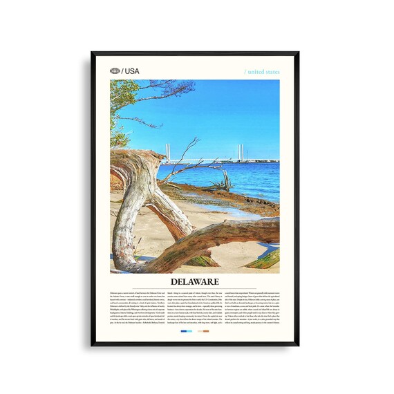 Delaware Coastal Driftwood Beach Scene Modern USA Travel Poster