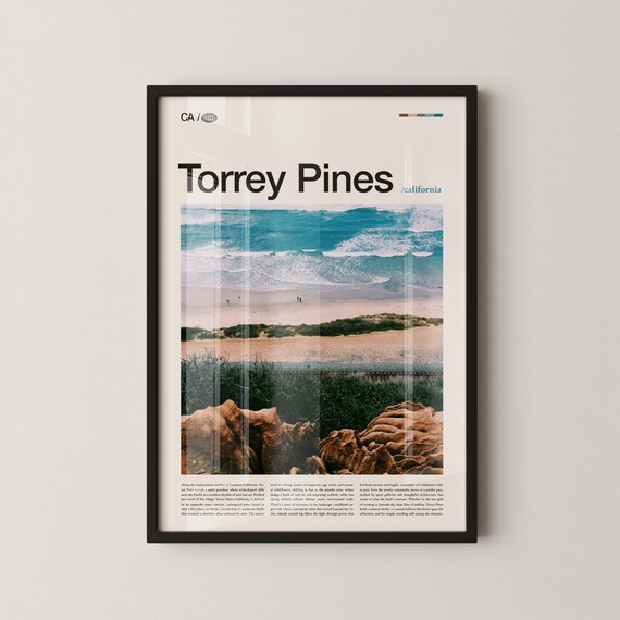 Torrey Pines California Aerial Ocean Waves Cliffs Surf Poster