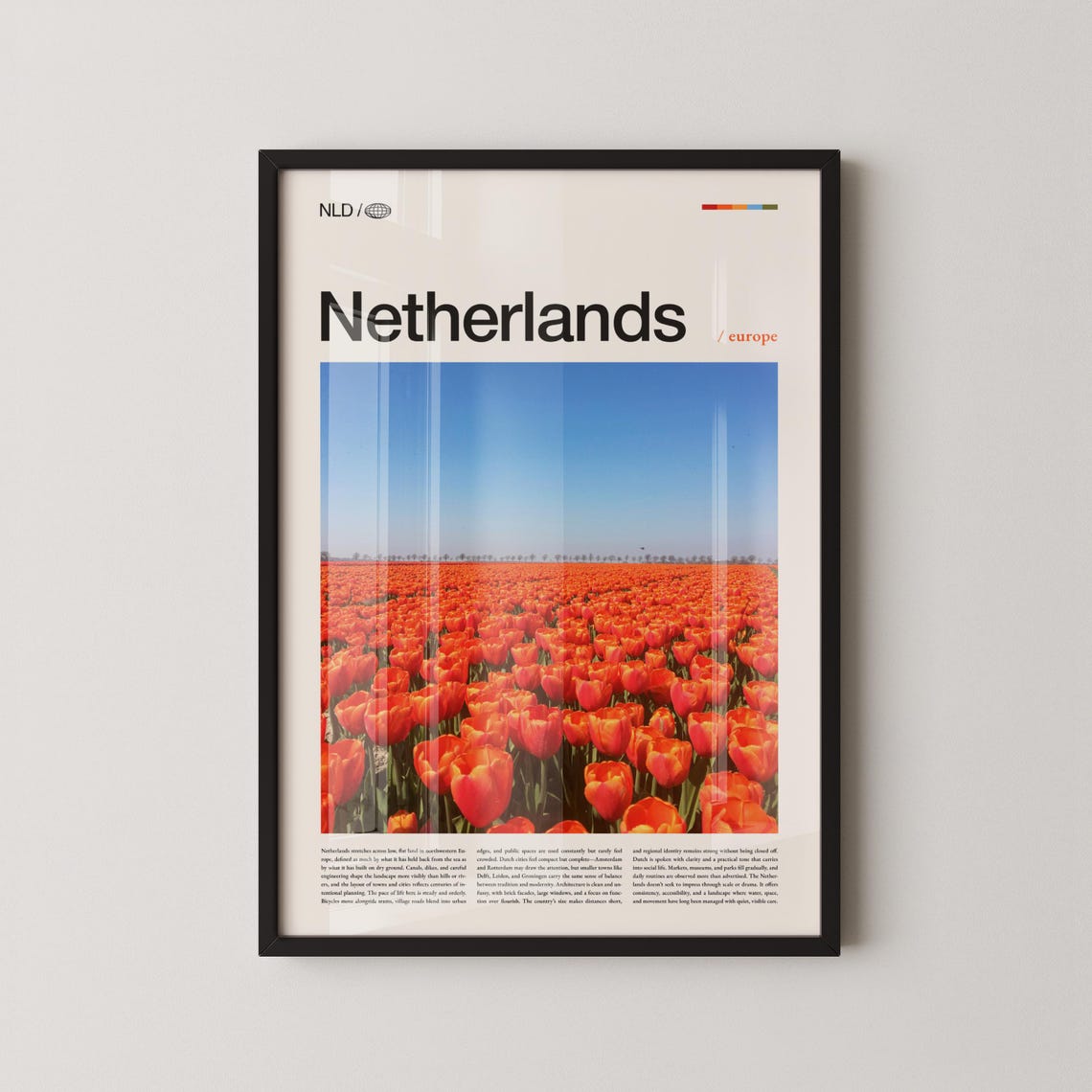 Netherlands Red Tulip Field Europe Travel Photography Poster
