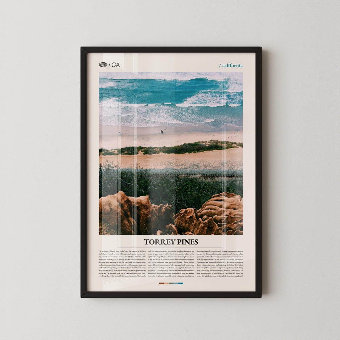 Torrey Pines California Surf Aerial Sandy Beach Rocks Poster
