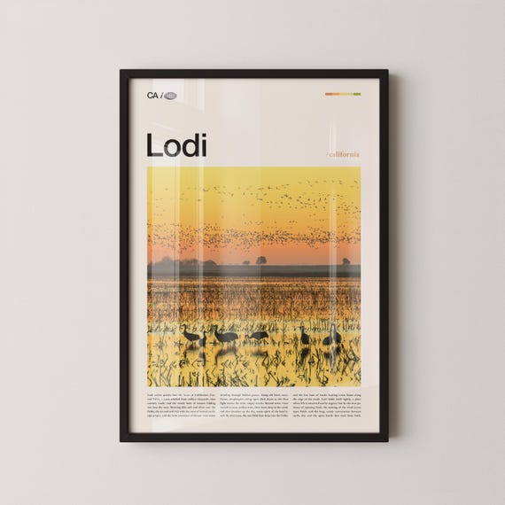 Lodi Print Wall Art Poster Photo Lake Micke Grove Park Wine Trail Downtown