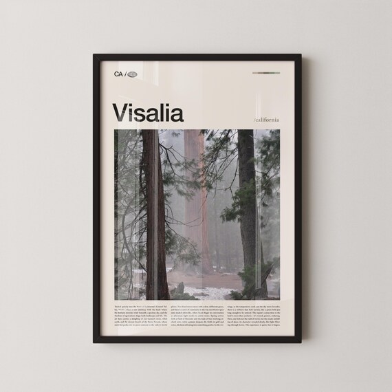 Visalia California Dark Sequoia Grove Editorial Photo Poster