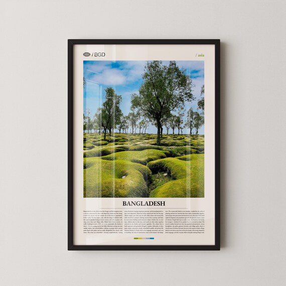 Bangladesh Mossy Green Hills Photo Poster, Asia Nature Landscape Art