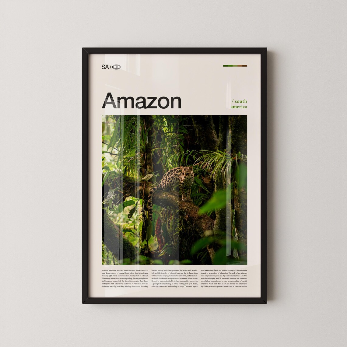 Amazon Rainforest Print Wall Art Poster Photography Tropical Jungle Landscape