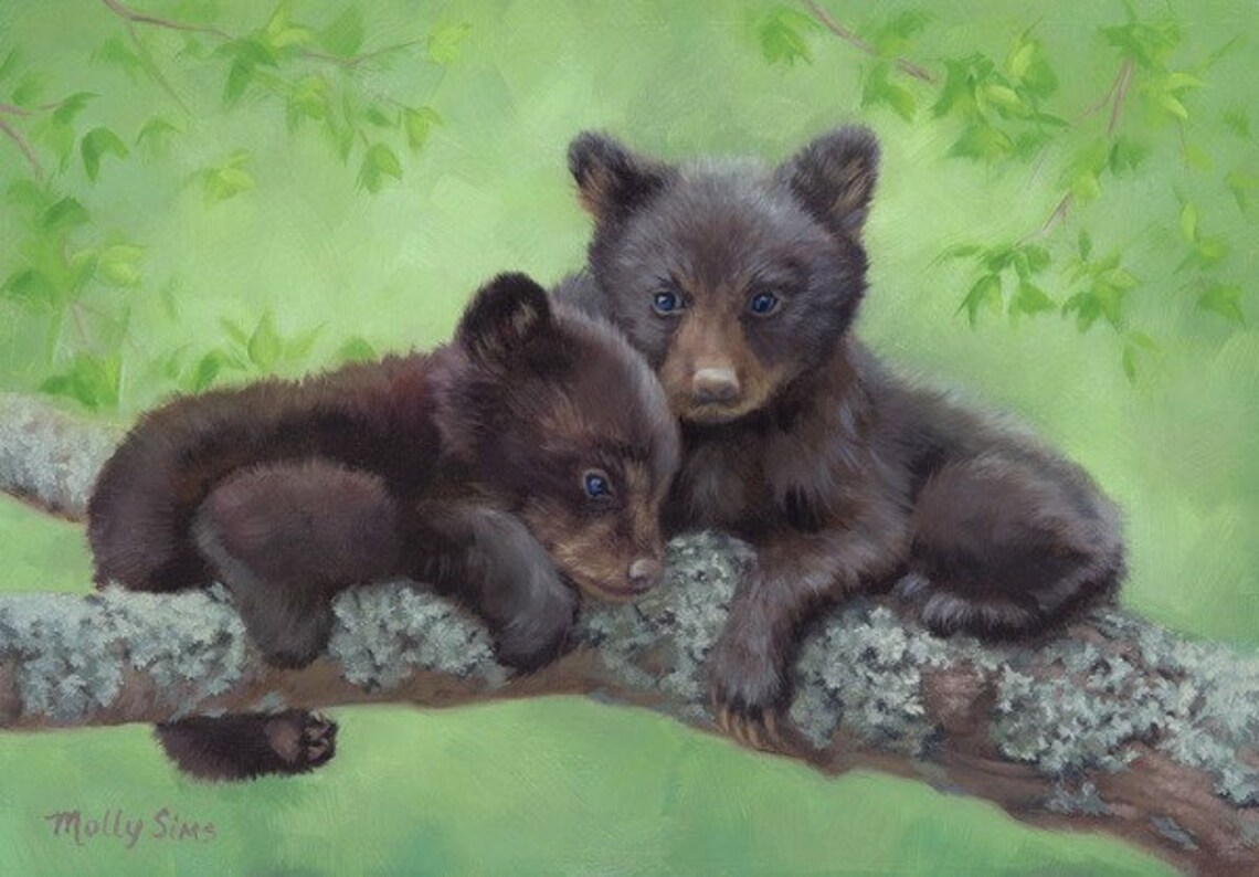 Cub Bear Wildlife Art Print, Open Edition Poster