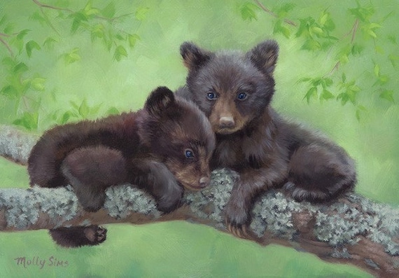 Cub Bear Wildlife Art Print, Open Edition Poster