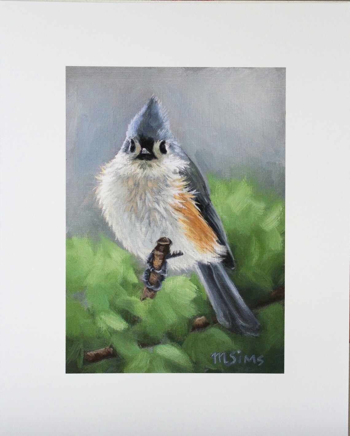 Tufted Titmouse Songbird Art Print, Bird Painting