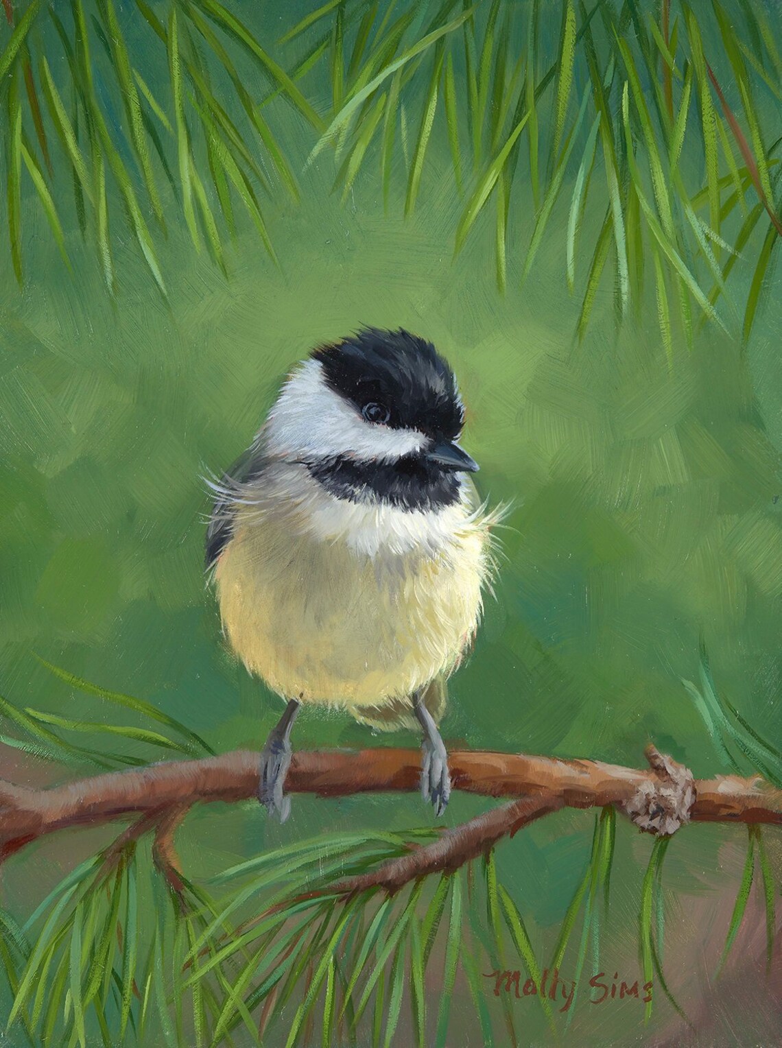 Black-Capped Chickadee Poster Print, Molly Sims Art