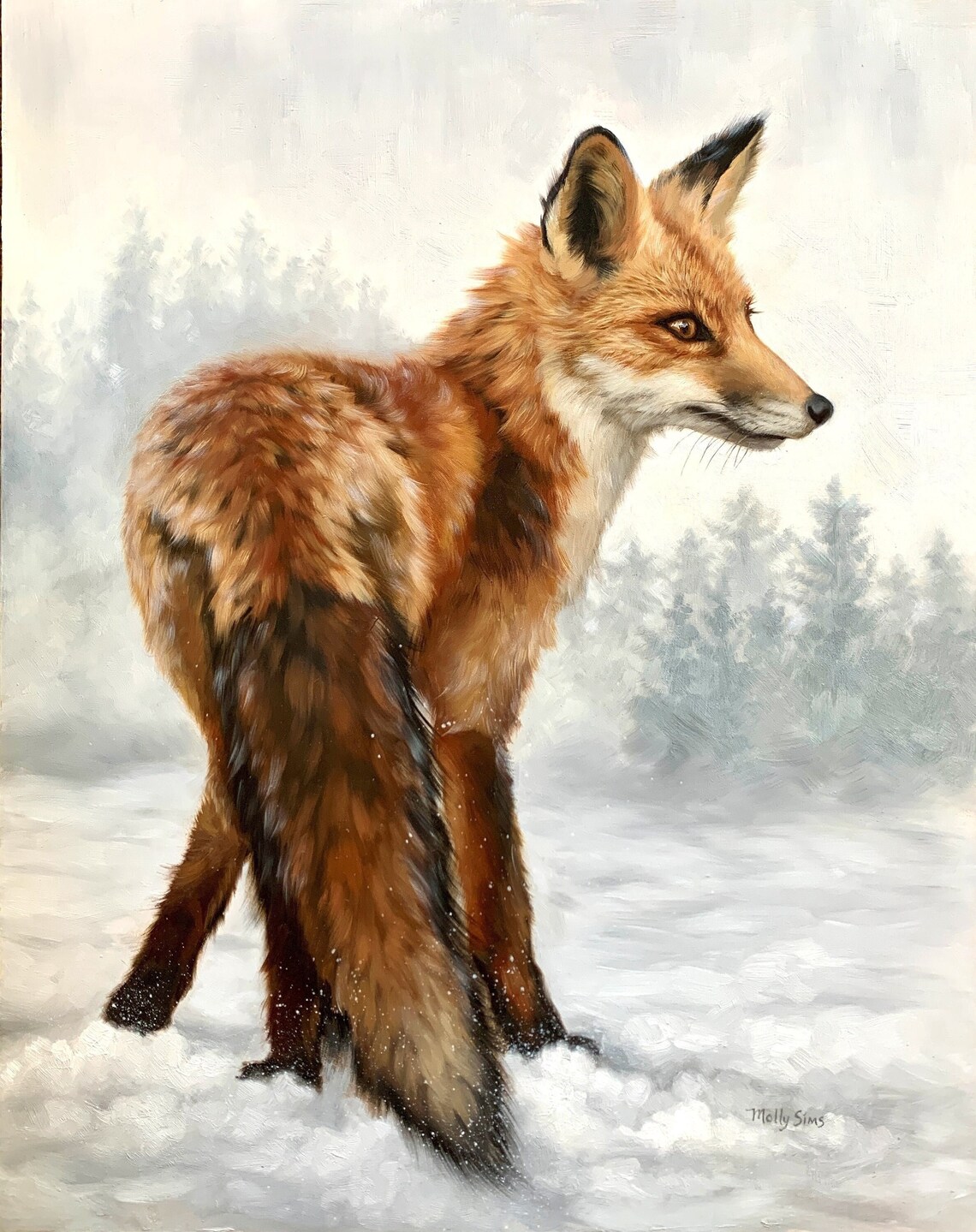 Fox Red Fox And Kit Fox Realistic Wildlife Art Print