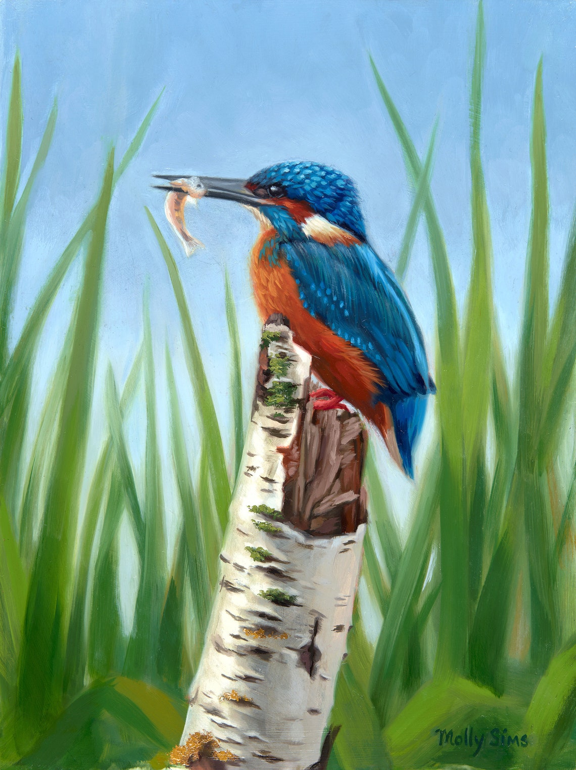 Common Kingfisher Holding a Fresh Fish Oil Painting Bird Poster