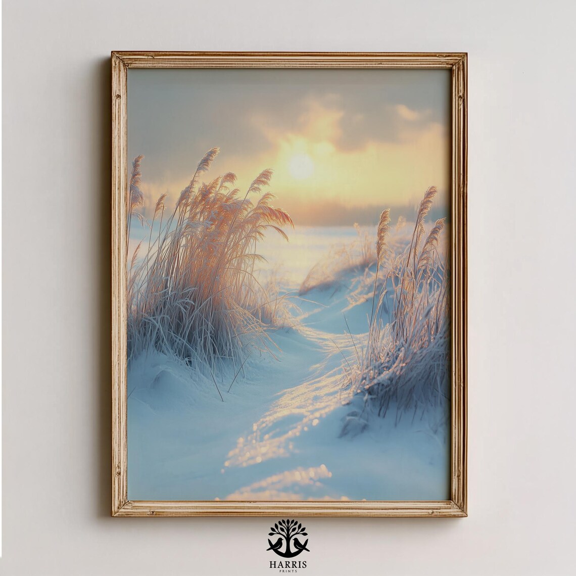 Winter Meadow Sunrise Frosted Reeds Snowy Path Golden Landscape Poster