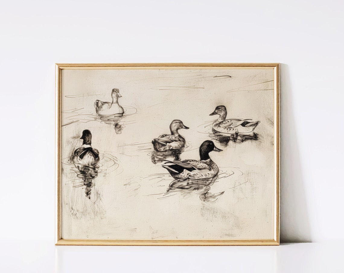 Five Ducks Swimming Vintage Pencil Sketch Wildlife Waterfowl Art Print