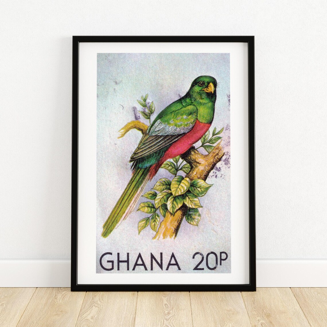 Ghana 20P Green and Crimson Tropical Bird Vintage Stamp Art Poster