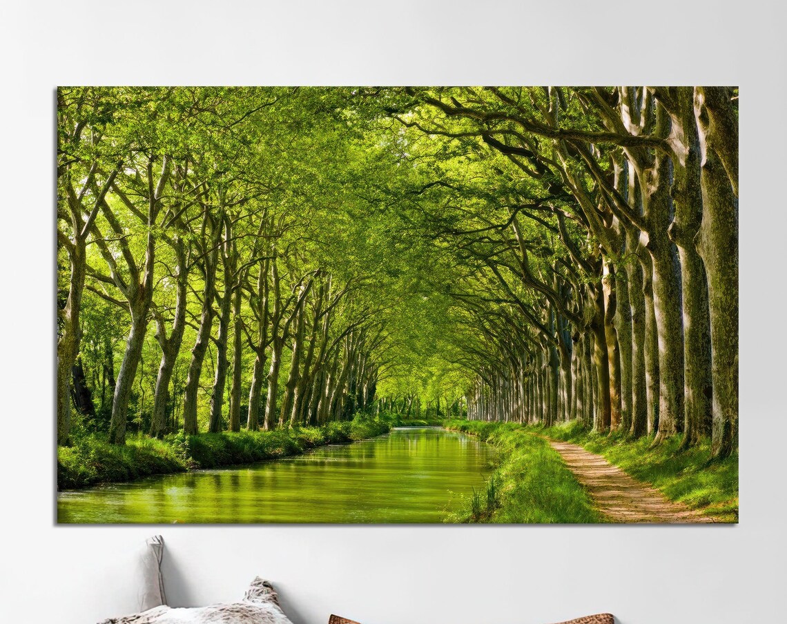 Canal du Midi Tree Lined Green Waterway France Scenic Landscape Poster