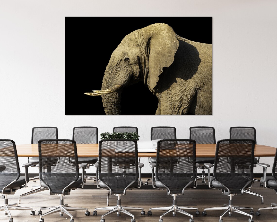 Elephant Portrait Dark Background Dramatic Wildlife Safari Wall Decor Poster - Image 4