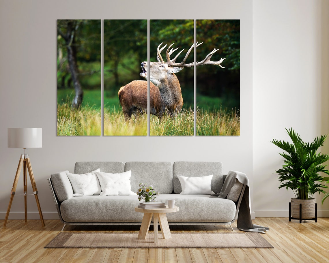 Red Deer Stag Bellowing In Meadow Wild Antlers Wildlife Photo Poster - Image 8