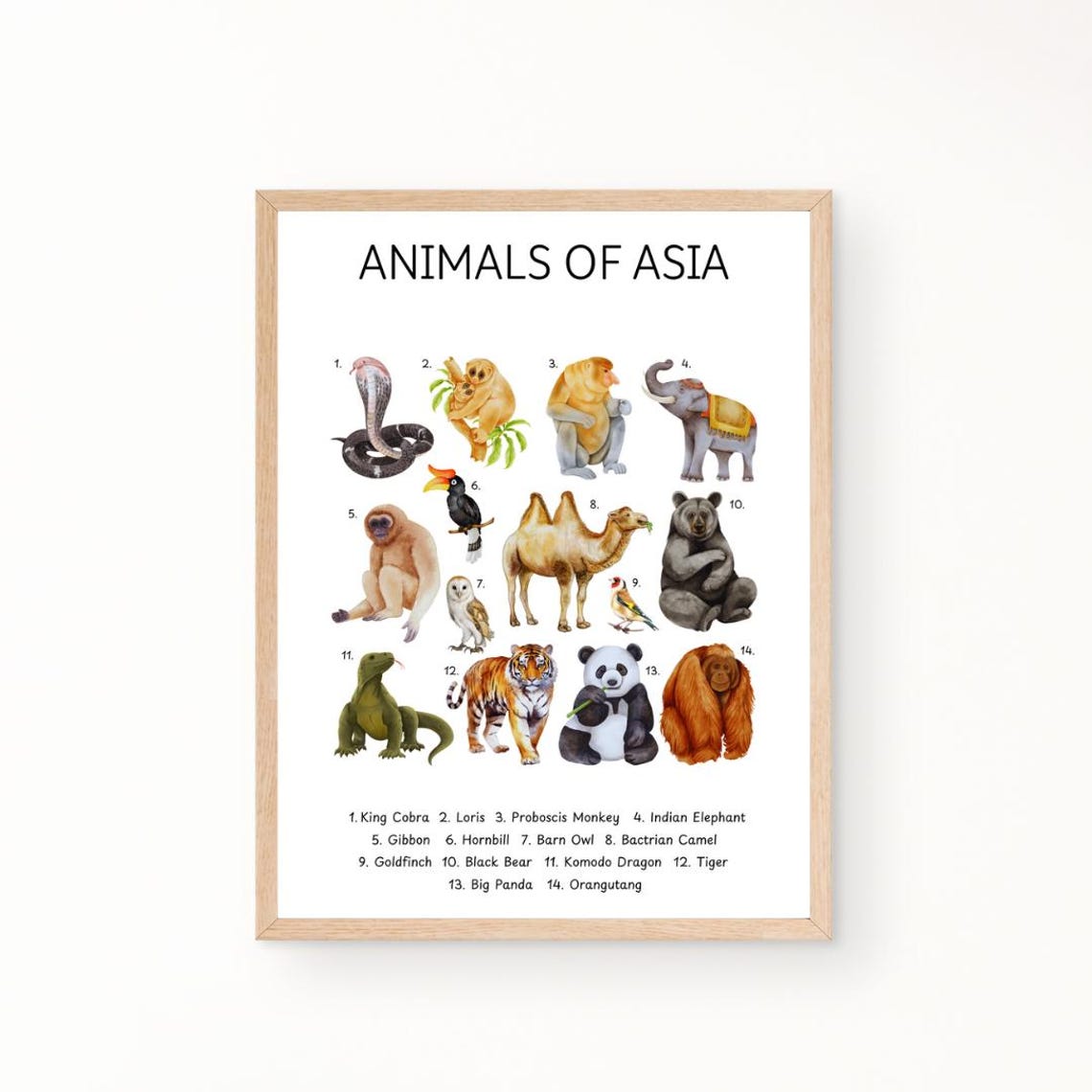 Animals Of Asia Educational Chart Kids Animal Learning Poster