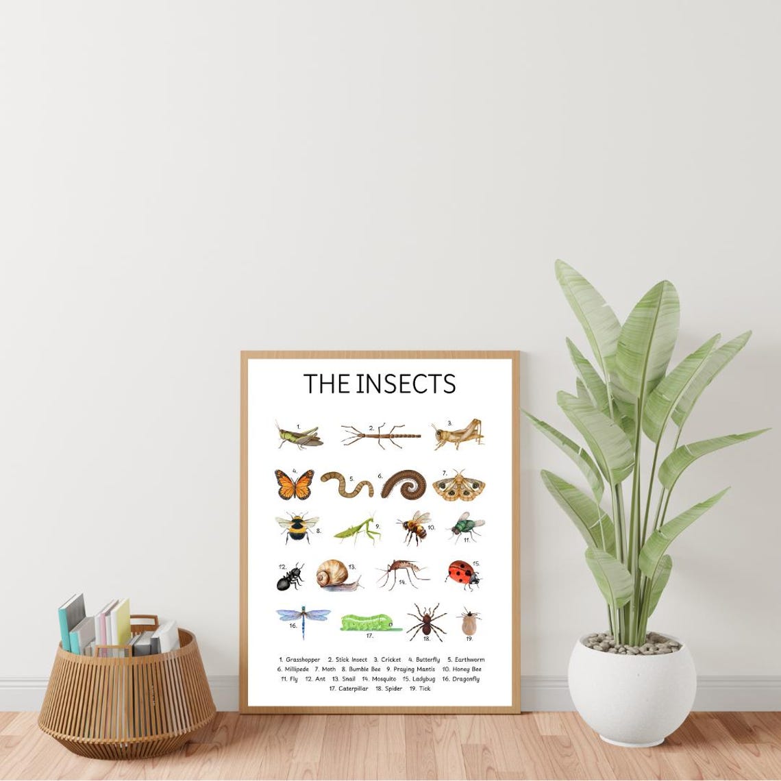 The Insects Educational Chart Kids Bug Identification Poster - Image 3