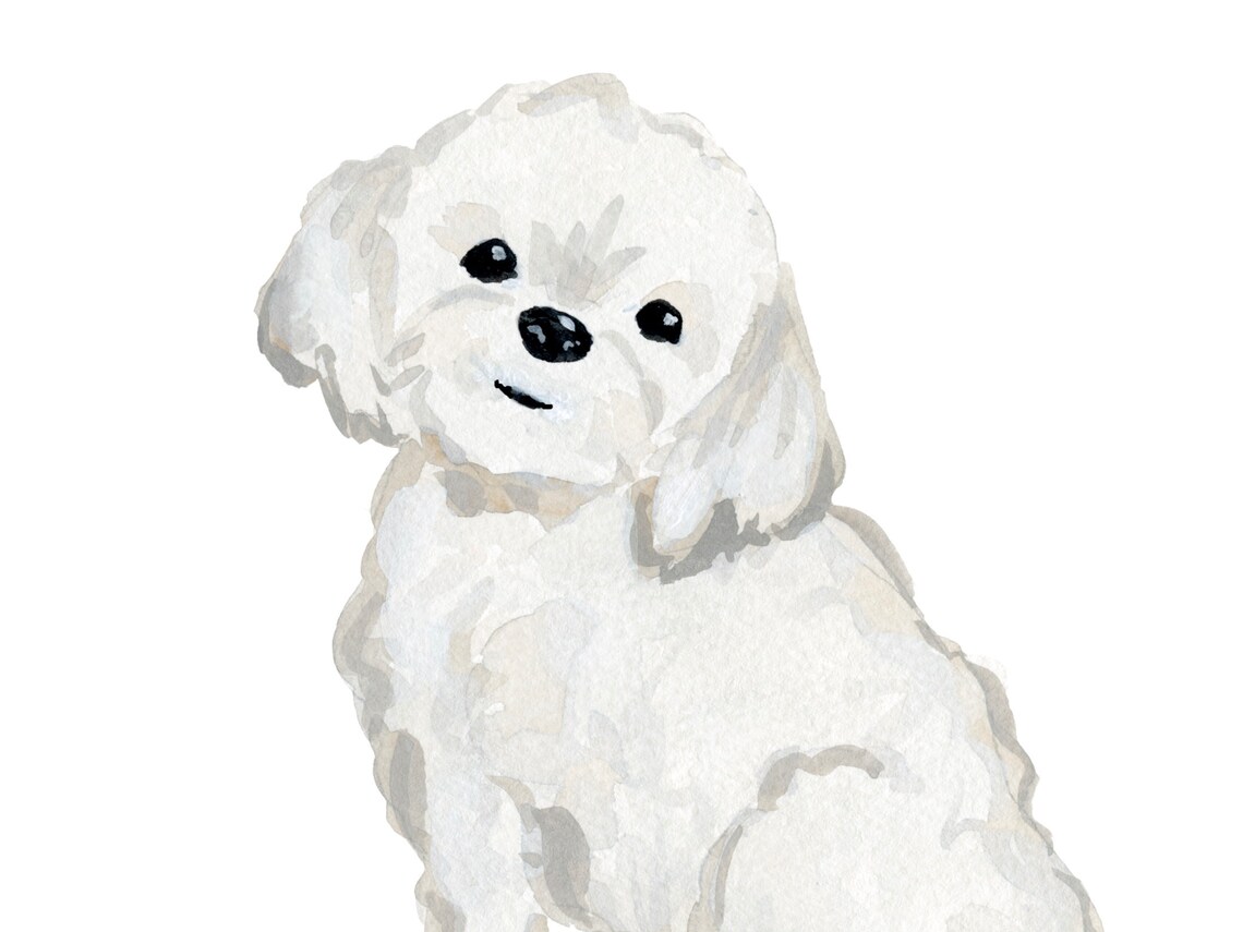 Havanese Pet Name Print, Christmas Gift Portrait - Image 3