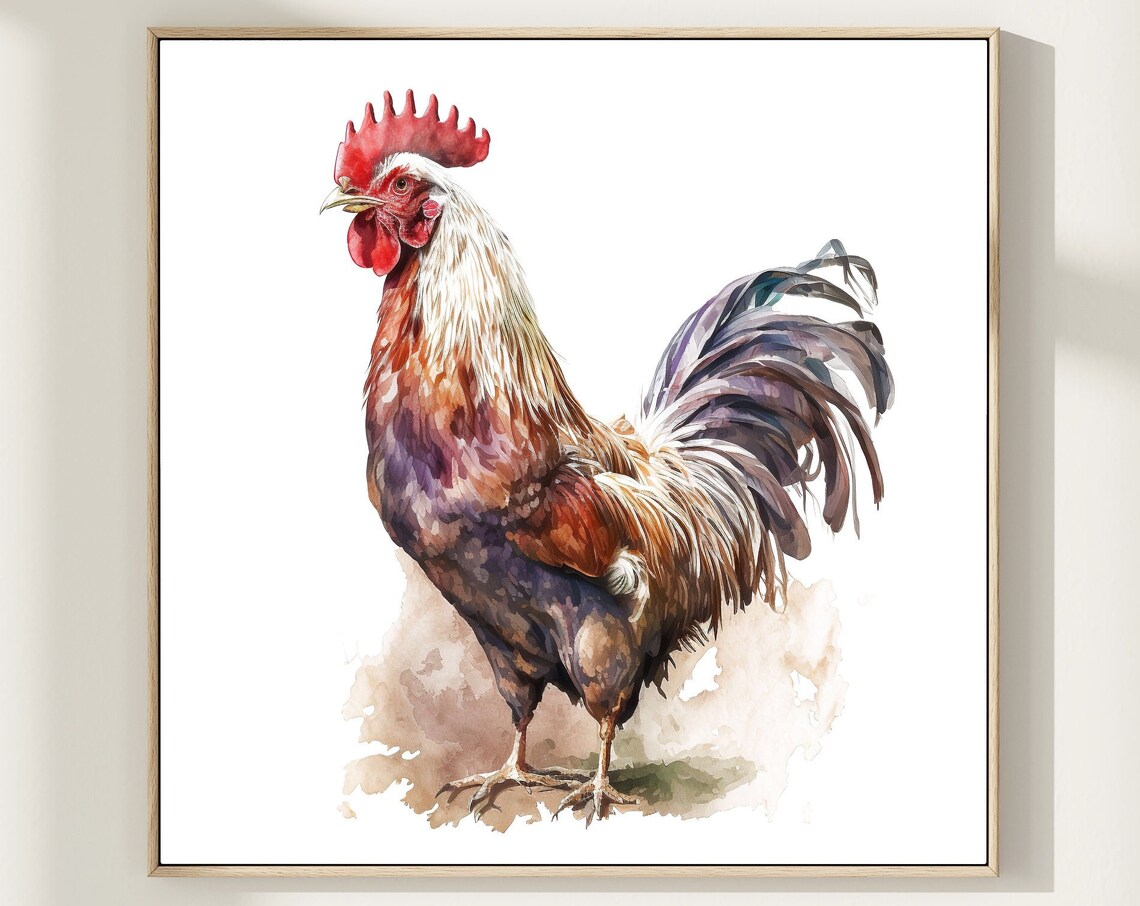 Proud Rooster Watercolor Farm Bird Portrait Colorful Art Print