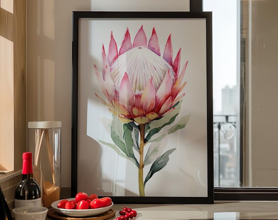Pink King Protea Flower Watercolor Botanical Floral Art Poster