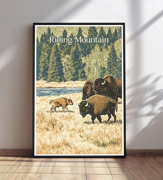Riding Mountain National Park Print Bison Calf Vintage Travel Poster Nature Wall Art Wildlife Decor