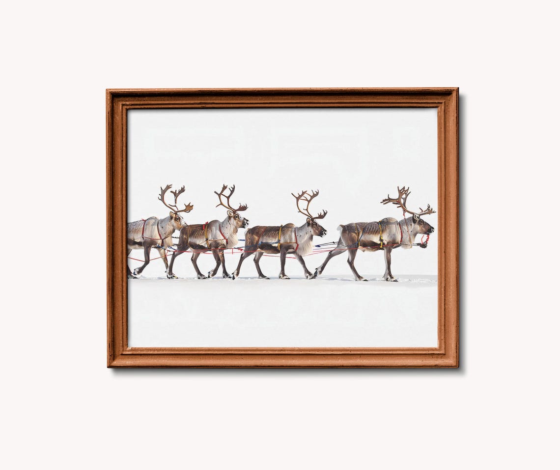 Four Reindeer Walking in a Row Across the Snowy Tundra Poster